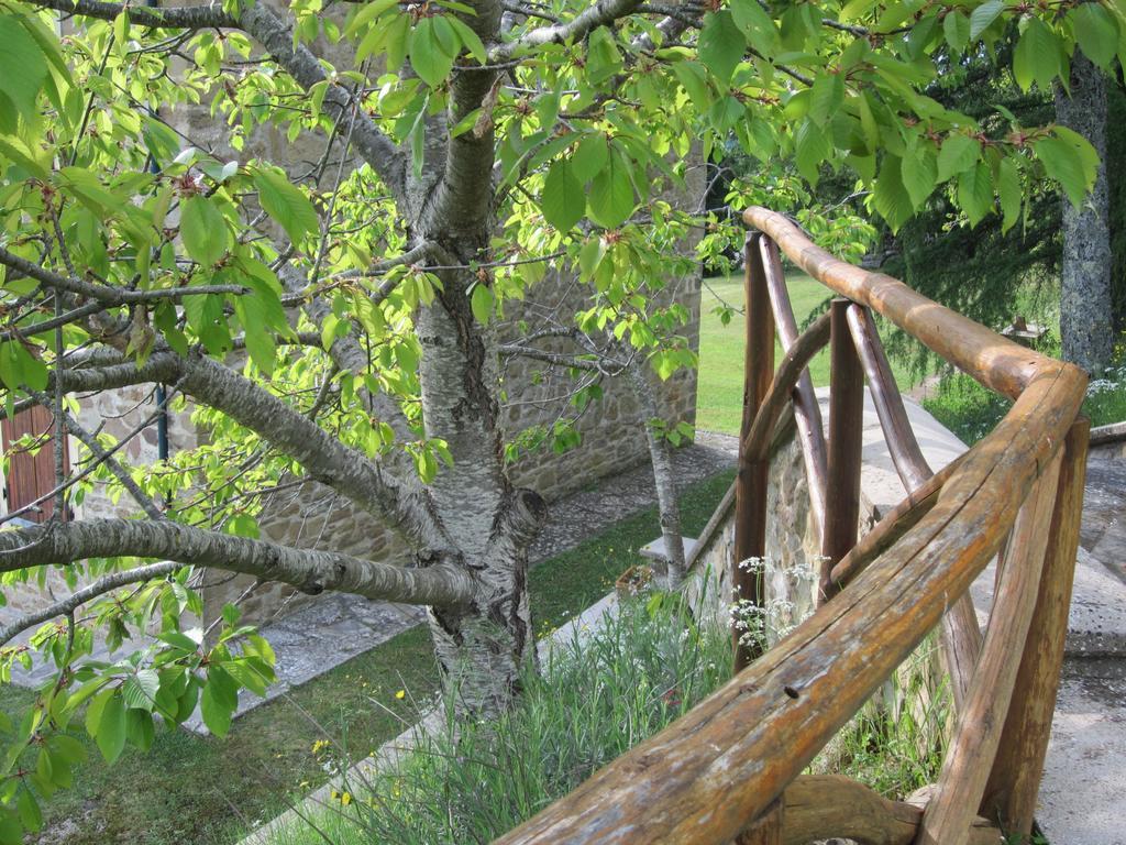 أريتسو Bed And Breakfast Country Hill المظهر الخارجي الصورة