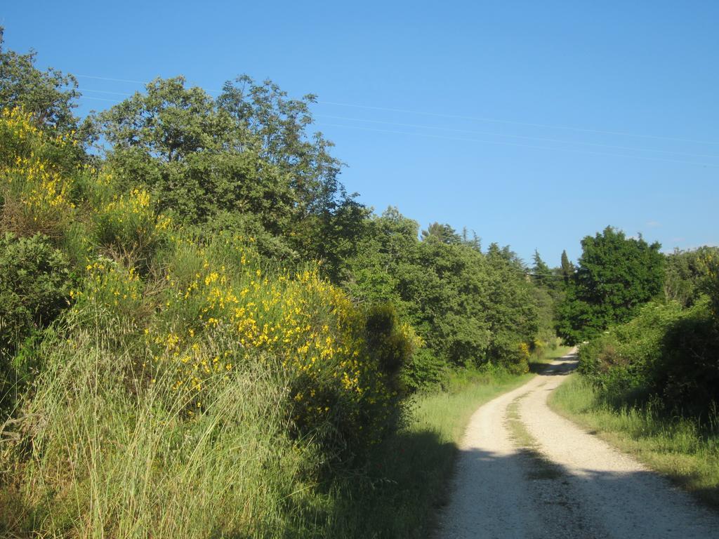 أريتسو Bed And Breakfast Country Hill المظهر الخارجي الصورة